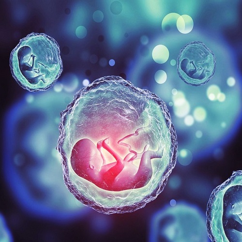IVF-Behandlung
