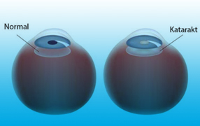 ASIA EYE ISTANBUL